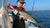 Northeast Fishing Report: 10/6/2023