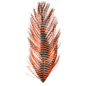 MFC Barred Ostrich Plume