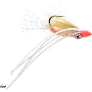 Bone Appetite Chicone