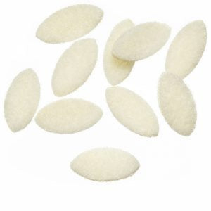 EP Fleeing Crab Body