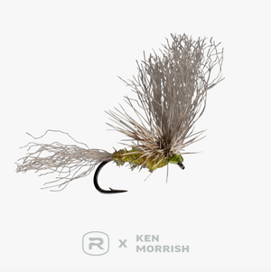 RIO's Morrish May Day