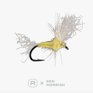 RIO's Morrish May Day