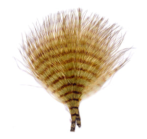 MFC Mini Barred Buggerbou