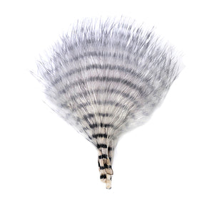 MFC Mini Barred Buggerbou