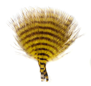 MFC Mini Barred Buggerbou