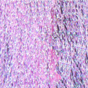 Midge Flash