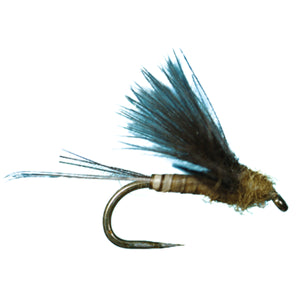 HARROP'S CDC BIOT DUN