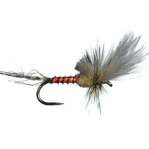 HARROP'S LAST CHANCE CRIPPLE