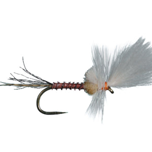 HARROP'S LAST CHANCE CRIPPLE