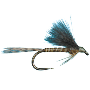 HARROP'S CDC BIOT EMERGER