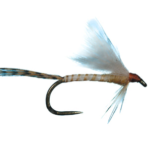 HARROP'S CDC BIOT EMERGER