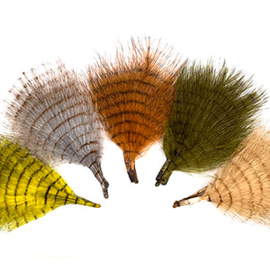 MFC Fine Barred Marabou