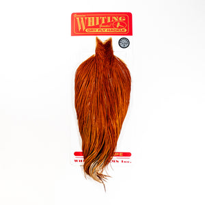 Whiting Rooster Cape Silver Grade