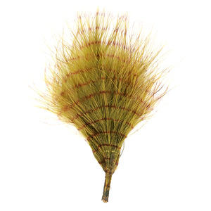 MFC Fine Barred Marabou