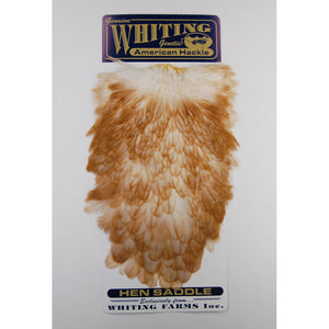 Whiting American Hen Saddle