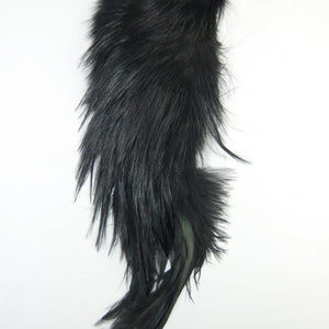 Whiting Bird Fur