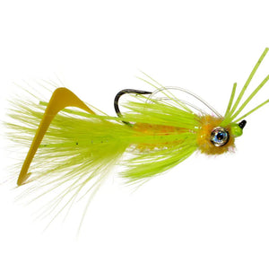 Whitlock's Scorpion Fly