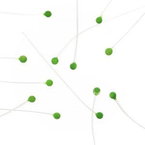 EP Crab & Shrimp Eyes