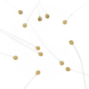 EP Crab & Shrimp Eyes