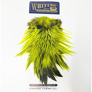 Whiting American Rooster Saddle