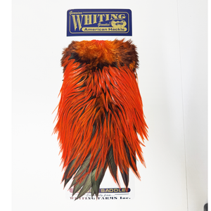 Whiting American Rooster Saddle