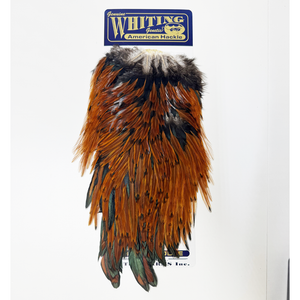 Whiting American Rooster Saddle