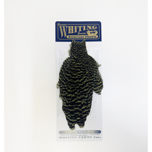 Whiting American Hen Cape