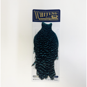 Whiting American Hen Cape