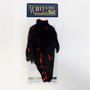 Whiting American Hen Cape