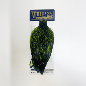 Whiting American Hen Cape