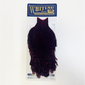 Whiting American Hen Cape