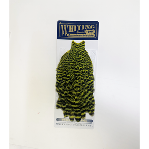 Whiting American Hen Cape