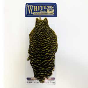 Whiting American Hen Cape