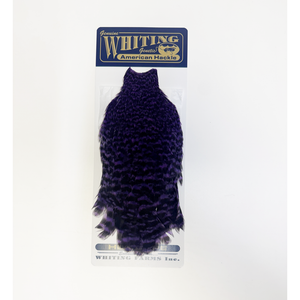 Whiting American Hen Cape