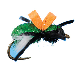 BEETLE (2 Variants)