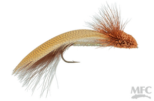 Galloup's Zoo Cougar