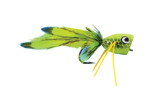 POPPER