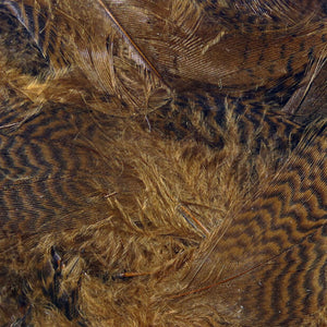 Teal Flank Feathers