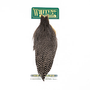 Whiting Hebert Hen Cape