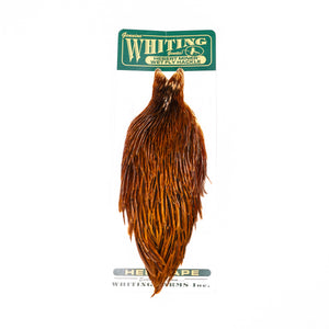 Whiting Hebert Hen Cape