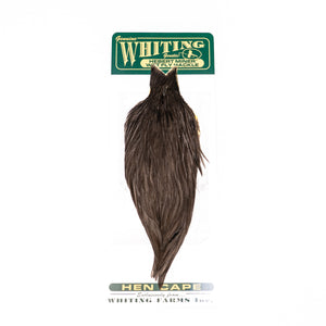 Whiting Hebert Hen Cape