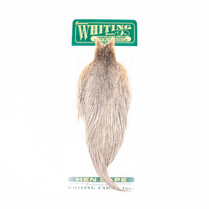 Whiting Hebert Hen Cape