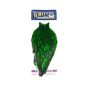 Whiting American Hen Cape