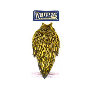 Whiting American Hen Cape