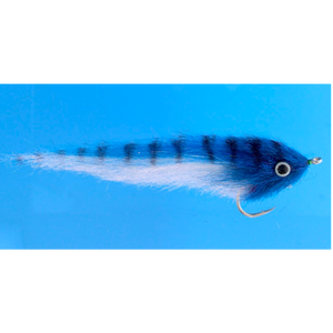 EP GT Baitfish