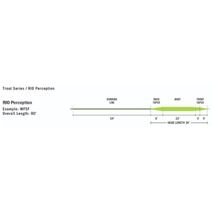 Rio Premier Perception Fly Line