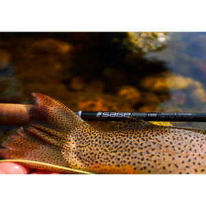 Sage R8 Core - FREE FLY LINE