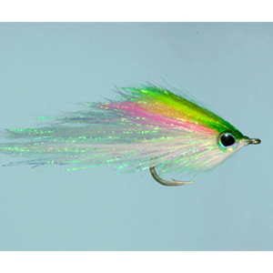 Rainy's Hamilton's Bush Pig