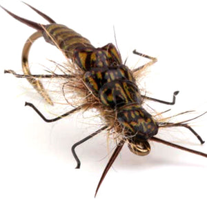 Pro Sportfisher Stonefly Kit