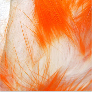 Crosscut Two Toned Rabbit Strips